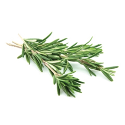 Picture of LAMB BRAND ROSEMARY
